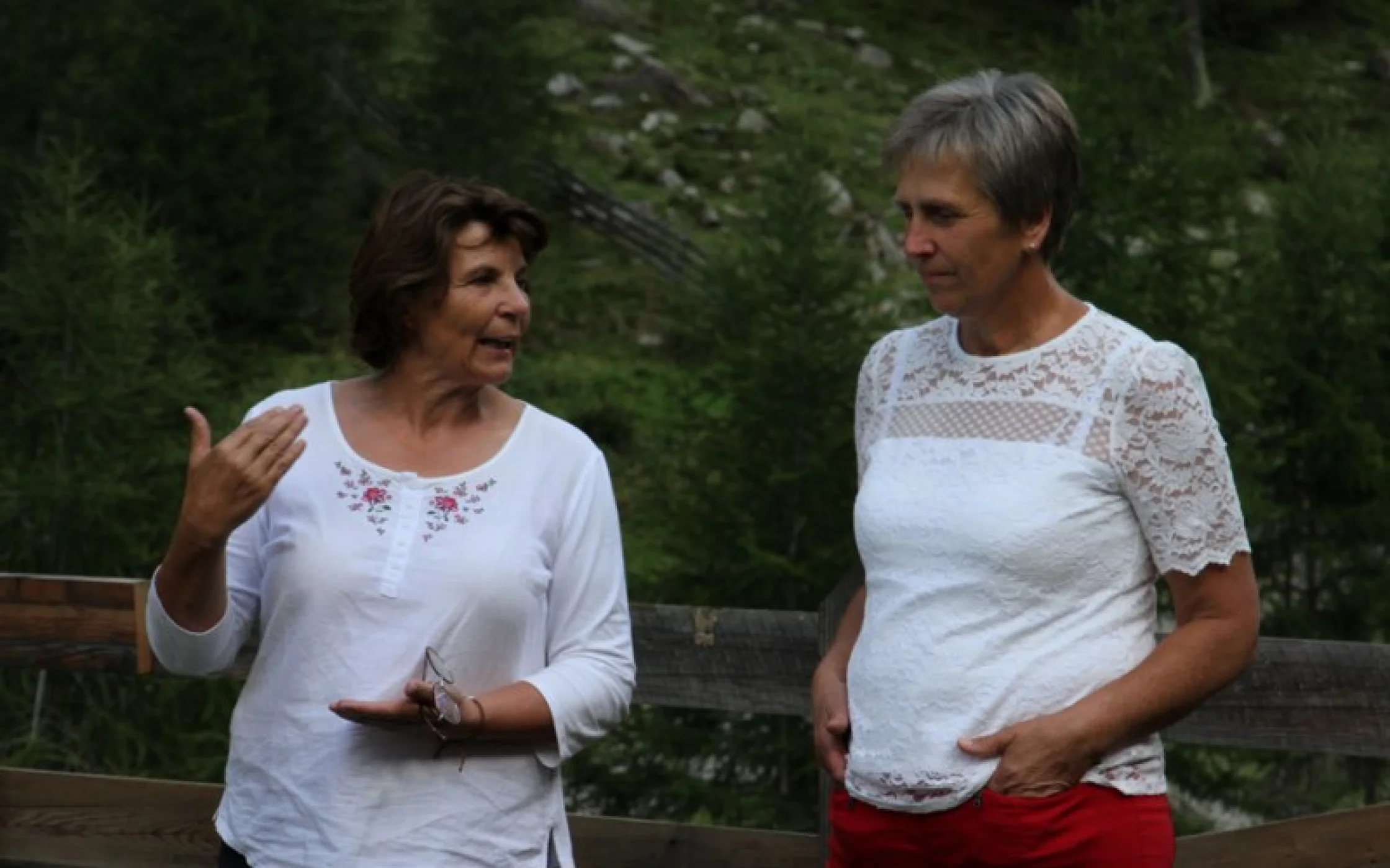 20230821 Sommergeprch KuenzerSBO 30_800x533.JPG